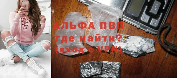 прущие грибы Балабаново