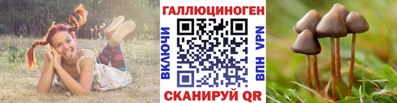 Галлюциногенные грибы Magic Shrooms  где купить наркоту  mega вход  Козьмодемьянск 